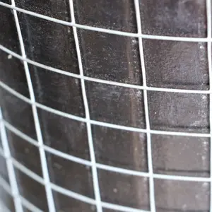 Stainless Steel Square Welded Wire Mesh 1 in-1