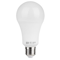 HI-TEK Muay Thai E27 20W LED Bulb, Daylight, Pear Shape