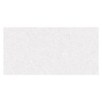 Wall tile Dorothy White 0.9M2 TARA 30x60CM