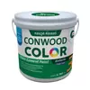 Conwood Color Fiber Cement Paint Clear Coat Gloss CC001