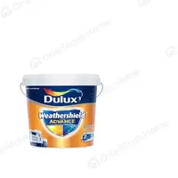 Exterior paint DULUX WTS smooth type 5 gallons
