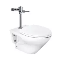 Wall Faced Toilet TOTO CWT743PVN
