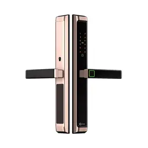 กลอนดิจิตอล C.HITECH WP PLUS สีโรสโกลด์-1