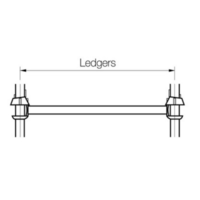 นั่งร้านระบบ Ledger