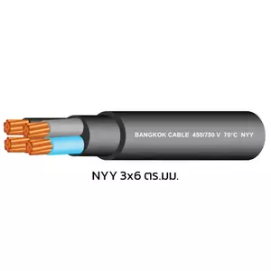 สายไฟ NYY 3x6 ตร.มม. สีดำ BCC 100 เมตร