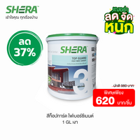 Top Guard Color Fiber Cement 1 GL Glossy (Clearance Sale)