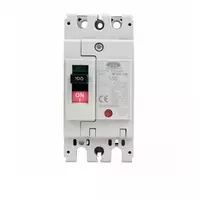 Circuit breaker 2P 100A model NF125-CW