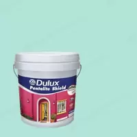 #500GG 71/180 สีดูลักซ์ เพนทาไลท์ ชีลด์ ชนิดด้าน ภายนอก Ocean Spray