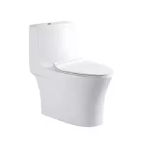 One Piece Toilet VICTOR 8072 0