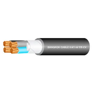 สายไฟ FR-CV 0.6/1 kV 1x6 ตร.มม. BCC-1
