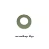 Plain Washer 1/4-inch