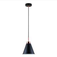 MAXLIGHT Ceiling lamp WP2107115 SBK E27 60W Black
