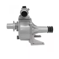 2-inch centrifugal pump CAPITAL floating shaft model CPT-50 SU