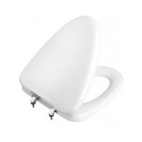 ฝารองนั่ง COTTO C9161 (Soft Close & Click) 8852425724953