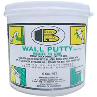 BOSNY 5KG WH WALL PUTTY
