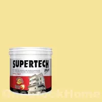 TOA 7904 TOA Supertech Plus Matt for Exterior 7904 Southern Exposure