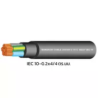 สายไฟ IEC 10-G 2x4/4 ตร.มม. BCC