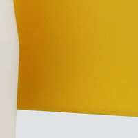 กระจกเคลือบสี Dream Golden Treasure