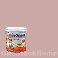 TOA 8689 TOA ExtraShield Semi-Gloss for Exterior 8689 Demetrio