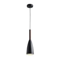 LIGHTMOST Ceiling lamp 17651-1B E14 40W Black