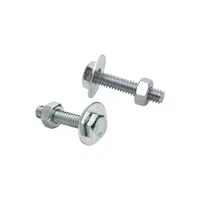 น็อตครบชุด ชุบขาว DEXZON 1/4x1-1/4" 6P
