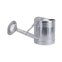 ZINC WATERING CAN SMALL SPRING