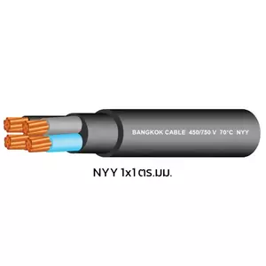 สายไฟ NYY 1x1 ตร.มม. สีดำ BCC 100 เมตร