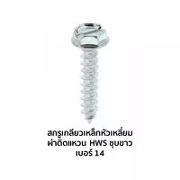 HWS Tapping Screws # 14