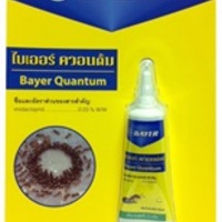 เจลกำจัดมด BAYER 12g