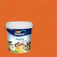 #80YR 24/569 Dulux Inspire Exterior Matt Caribbean Spice 80YR 24/569