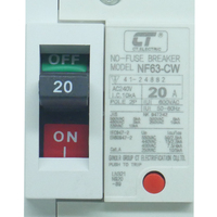 เบรกเกอร์ 20 แอมป์ MCCB CT ELECTRIC 2 Pole รุ่น CTNF-63C