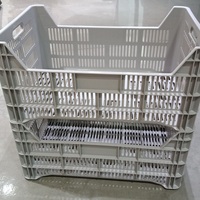 ลังพลาสติก ME LIVING 60.5X40X24.5 ซม. สีเทา
