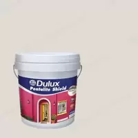 #30170 Dulux Pentalite Shield For Exterior and Interior Matt Swandown 30170