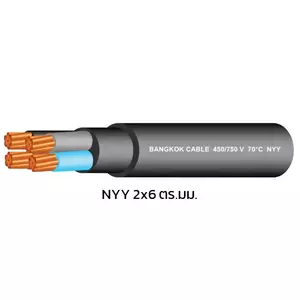 สายไฟ NYY 2x6 ตร.มม. สีดำ BCC 100 เมตร