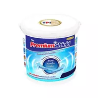 TPI NP101M Nano Top Coat Paint Premium Shield Matt
