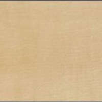 กระเบื้องยางไวนิลปูพื้น รุ่น Dynoflex Wood Series DYNOFLEX W-017