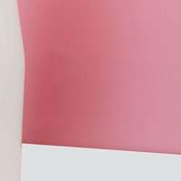 กระจกเคลือบสี Dream Sakura