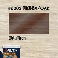 DELTA DECKING STAIN, translucent type, glossy film, oak color