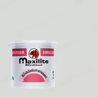 #X-500 Dulux Maxilite Exterior Pearl White X-500