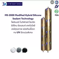 1st MS 2000 Modified Hybrid Silicone