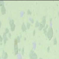 DYNOFLEX Rubber Tile SL-1103