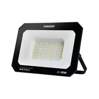 สปอร์ตไลท์ LED NAGAS REVAL 30 วัตต์ DAYLIGHT สีดำ