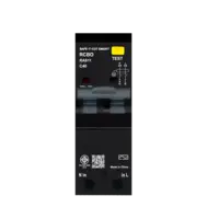 เบรกเกอร์กันดูด 40 แอมป์ RCBO SAFE T CUT 2 Pole 30mA 10kA รุ่น RAS11 (TYPE AC) สีดำ