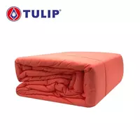 ผ้านวม 60X80 TULIP DELIGHT 60242-DL541