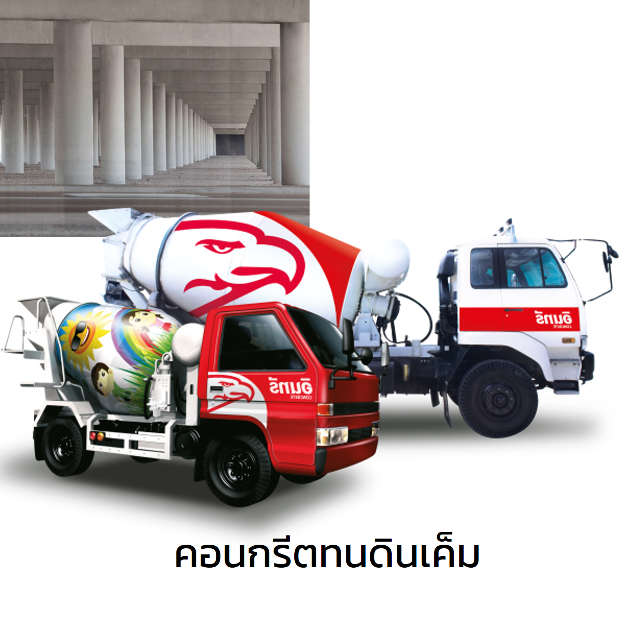 INSEE Saline Soil Concrete-1