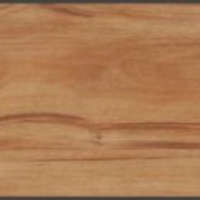 กระเบื้องยางไวนิลปูพื้น รุ่น Dynoflex Wood Series 2 DYNOFLEX WM 989