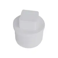 VALVE PLUG-WS WHITE 18