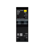 เบรกเกอร์กันดูด 50 แอมป์ RCBO SAFE T CUT 2 Pole 30mA 10kA รุ่น RAS11 (TYPE AC) สีดำ