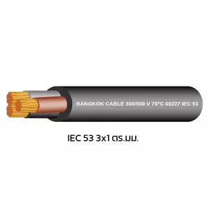 สายไฟ IEC 53 3x1 ตร.มม. สีดำ BCC 100 เมตร