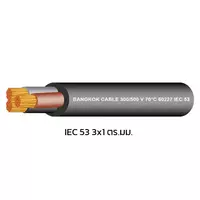 สายไฟ IEC 53 3x1 ตร.มม. สีดำ BCC
